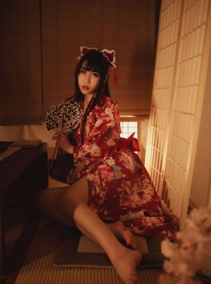 珠帘玉幕新剧电视剧免费观看_蓝光高清完整版