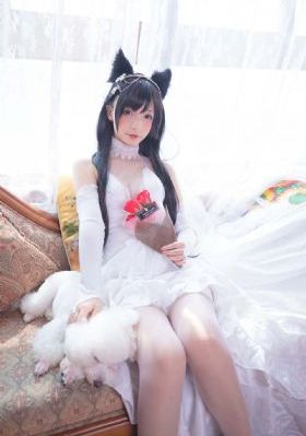 《精卫填海》免费观看_4K电影全集观看
